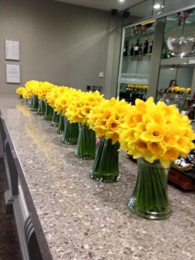 Spring vases of flowers daffodils yellow bright